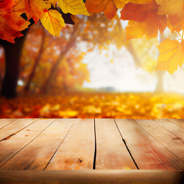 Fall Background with brown wood for product, falling yellow autumn leaves and grass with sun beams