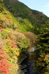 東京奥多摩町多摩川と紅葉
