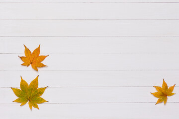 紅葉のもみじ 木目 背景素材