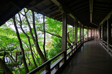 Covered corridor at Eikando Hall in Kyoto