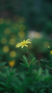 Vertical shot of a yellow flower in a park