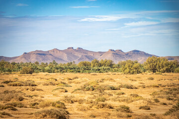 Fototapeta na wymiar stone desert near merzouga, morocco, desert, rock formation, north afric