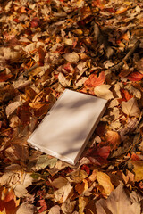 White book in nature surrounding, autumn leaves. Mockup, conceptual, fall mood, reading book, magazine, colorful leaves