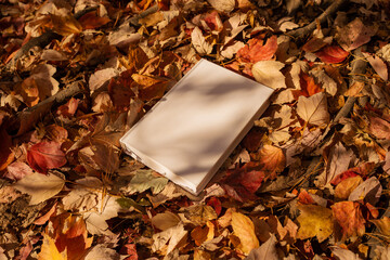 White book in nature surrounding, autumn leaves. Mockup, conceptual, fall mood, reading book, magazine, colorful leaves