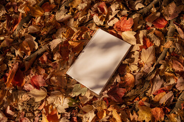 White book in nature surrounding, autumn leaves. Mockup, conceptual, fall mood, reading book, magazine, colorful leaves - 547614318