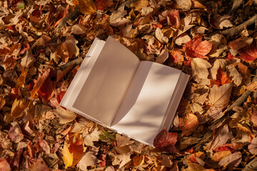 White book in nature surrounding, autumn leaves. Mockup, conceptual, fall mood, reading book, magazine, colorful leaves