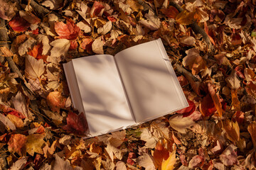 White book in nature surrounding, autumn leaves. Mockup, conceptual, fall mood, reading book, magazine, colorful leaves - 547614537