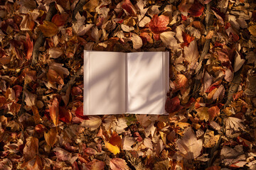 White book in nature surrounding, autumn leaves. Mockup, conceptual, fall mood, reading book, magazine, colorful leaves