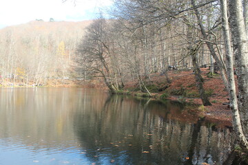 Colors of Autumn, Yedig&ouml;ller National Park Bolu Turkey