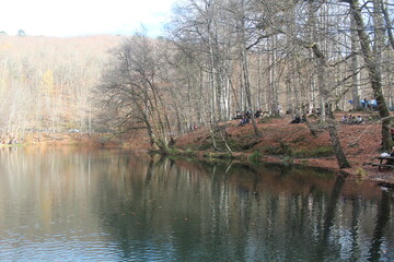 Colors of Autumn, Yedigöller National Park Bolu Turkey