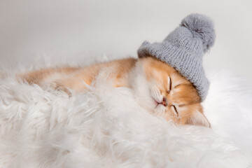 cute red kitten sleeps in a knitted hat on a fur blanket