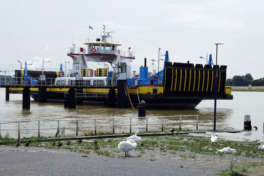 The ferry of the historical Maassluis in Zuid-Holland