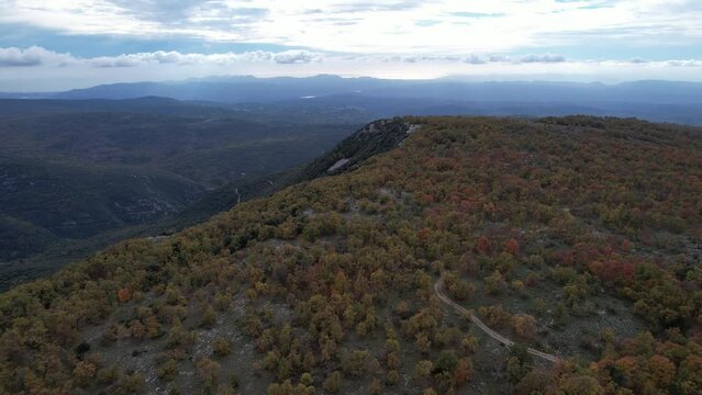 Baou Mourine forest seen from the sky
