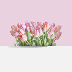 Springtime background with lovely pastel pink tulips bunch