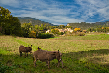 Lourmarin in der Provence in Frankreich