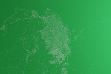 Map of the streets of Barranquilla (Colombia) made with white lines on green paper. Rough background. 3d render, illustration