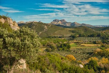 Fototapeta na wymiar Landschaft in den Alpilles ind er Provence