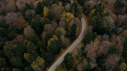 Beautiful road from above. Drone shot 