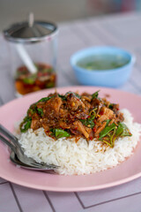 Braised pork on rice in Thailand. with stir-fried braised pork and basil. Thai food, spicy food.