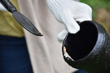 Tapping Japanese lacquer urushi trees (Toxicodendron vernicifluum) in Okukuji area of Ibaraki...