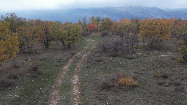 Autumn drone walk in the Baou Mourine forest drone view