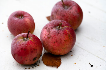 Apfeln mit Frost im Winter