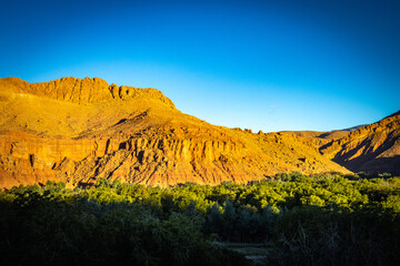 Naklejka na ściany i meble canyon, valley of roses, morocco, oasis, river, m'goun, high atlas mountains, north africa, sunset