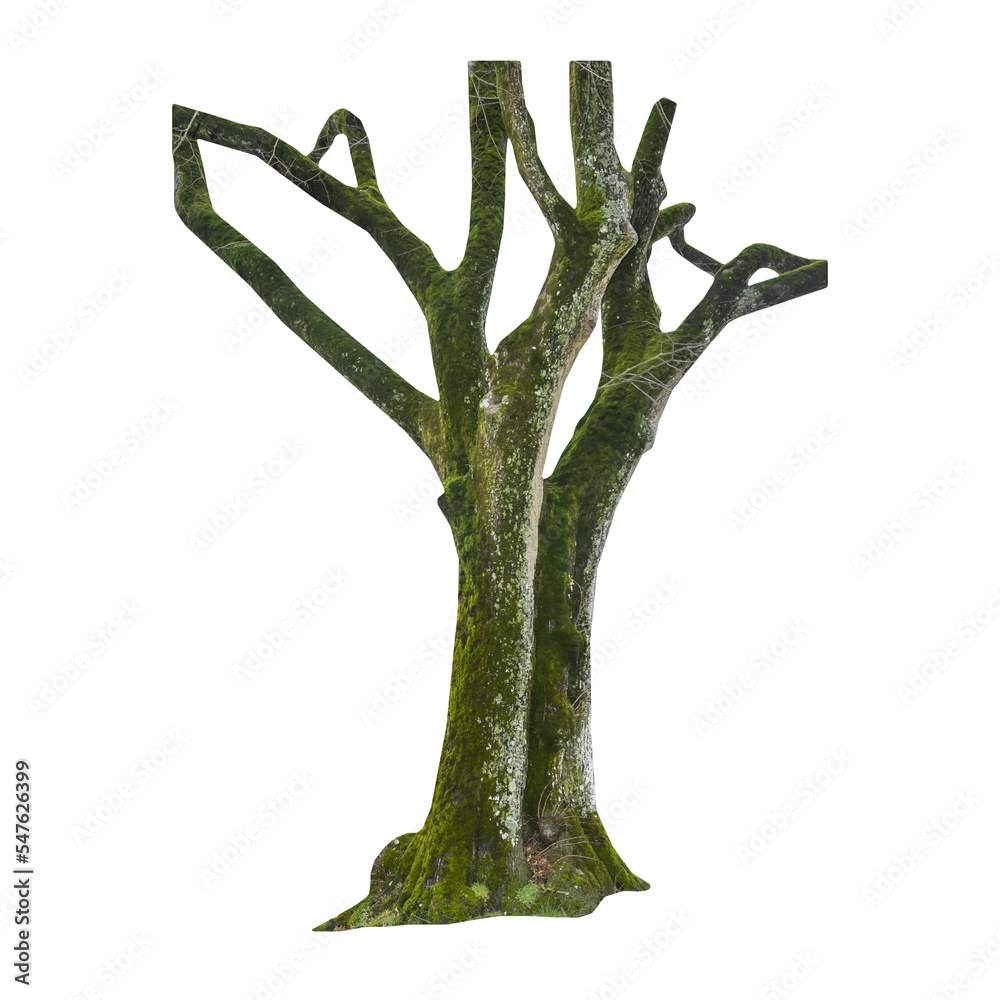 Aufkleber isolated png cutout of a tree trunk on a transparent background