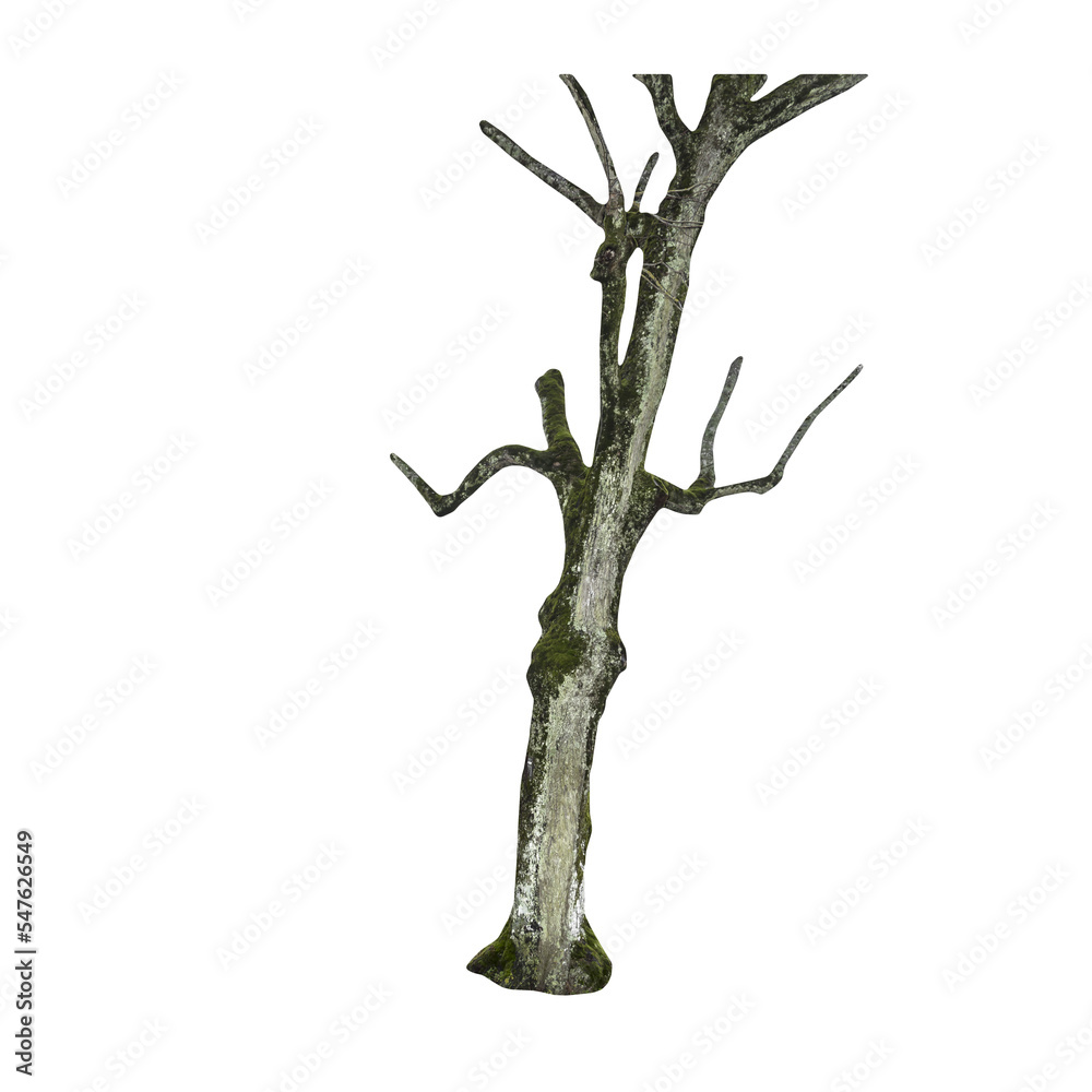 Aufkleber isolated png cutout of a tree trunk on a transparent background