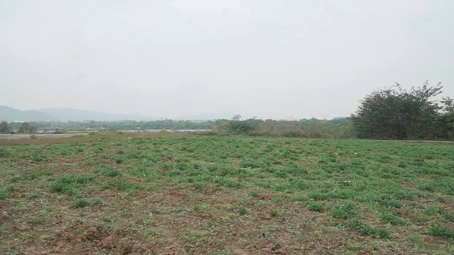 Open grass field under a cloudy grey sky