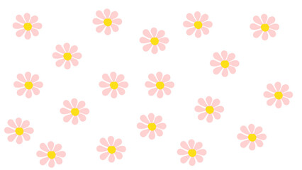 pink flowers cornflowers in the white background as a wallpaper 