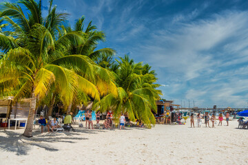 Fototapeta premium White sand beach with cocos palms, Isla Mujeres island, Caribbean Sea, Cancun, Yucatan, Mexico