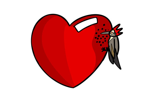 Hand-drawn in cartoon style woodpecker bird holes a big red heart. For Valentine’s Day, for Valentine card. On a white background, isolated.