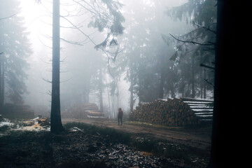 Fototapeta na wymiar Person walks through the foggy forest
