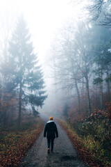 Person walks through the foggy forest