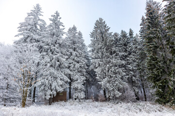 Erste kleine Winterwanderung auf dem Rennsteig bei Floh-Seligenthal - Thüringen - Deutschland