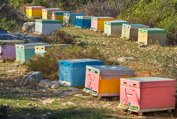 Bunte Bienenstöcke, Peloponne, Griechenland