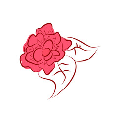 pink rose with ribbon for logos