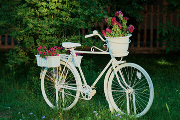 Fototapeta na wymiar White retro vintage bicycle with flowers in the garden. Decoration of the park area. Flower bed design option. Dark blurred background.