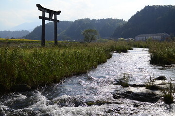 鳥居と小川