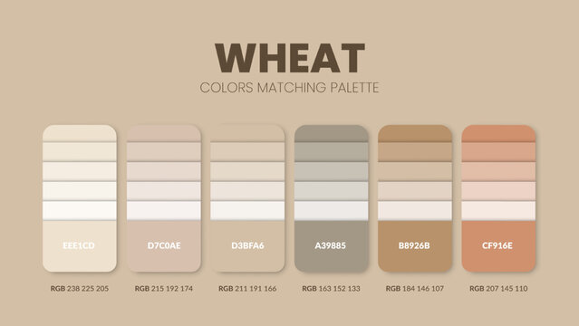 Color palette in a Passion colour themed collections. Color scheme or colors chart template. Color combination set of RGB, HSL and HEX codes. Color swatch for art, fashion, home design, or web design.