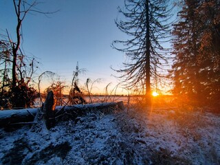Winterlicher Sonnenaufgang im Harz  - 547645328