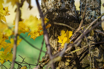 old countryside building architecture details
