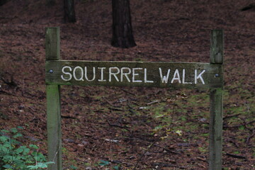 Liverpool, Merseyside  United Kingdom - 11.21.2022: The famous Squirrel Walk sign from the Pine Woods located at Formby in Liverpool, England. This site is famous for its red squirrels.