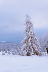 ŁAPSZANKA- POLSKA, TATRY POLSKIE, PODHALE, SPISZ, ZIMOWY KRAJOBRAZ