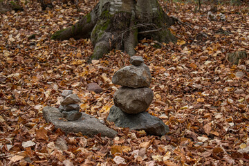 Naklejka na ściany i meble Aligned rocks in the forest close up