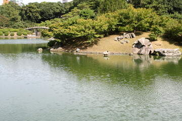pond in the japanese garden