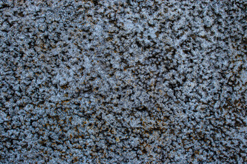 concrete wall background close up	
