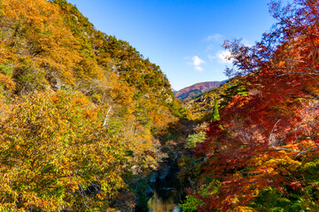 紅葉の昇仙峡　長潭橋からの風景