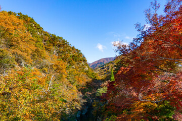 紅葉の昇仙峡　長潭橋からの風景